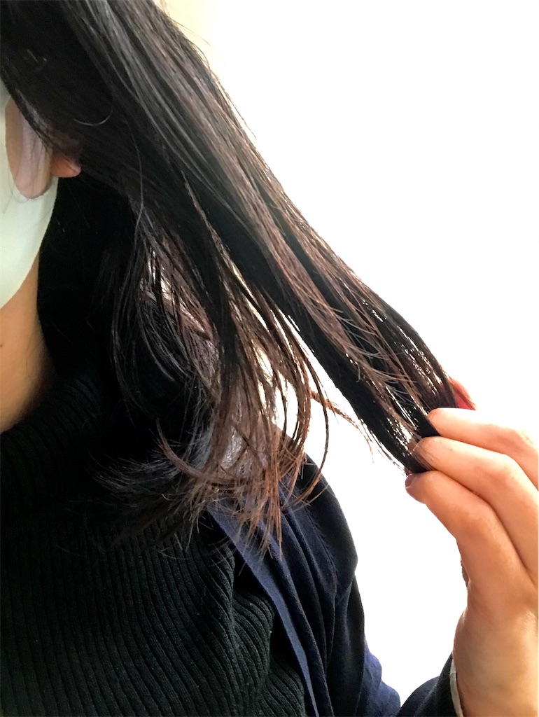 f:id:yupisu:20201229143152j:image