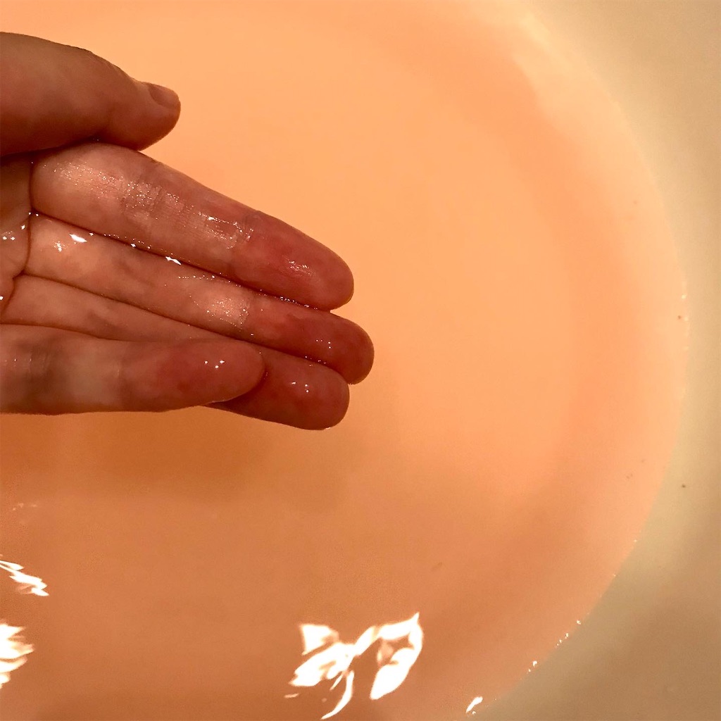 f:id:yupisu:20221009162825j:image