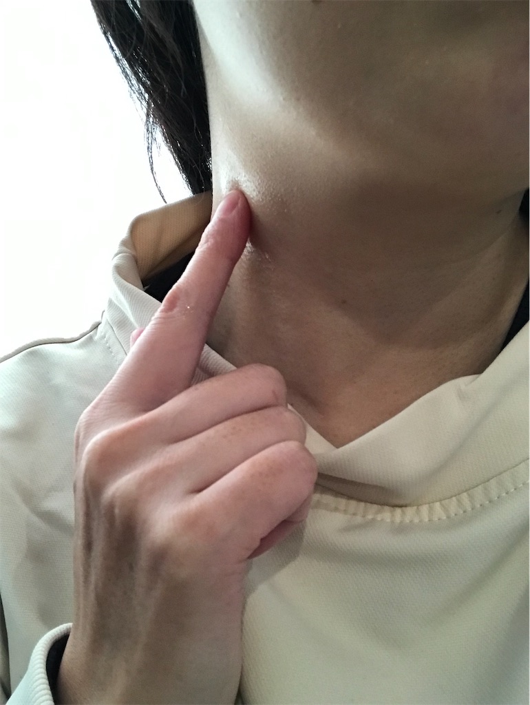 f:id:yupisu:20221208100445j:image f:id:yupisu:20221208100445j:image