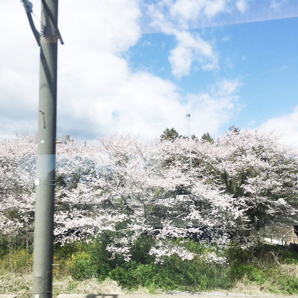 f:id:yuppi1333:20190420195248j:image