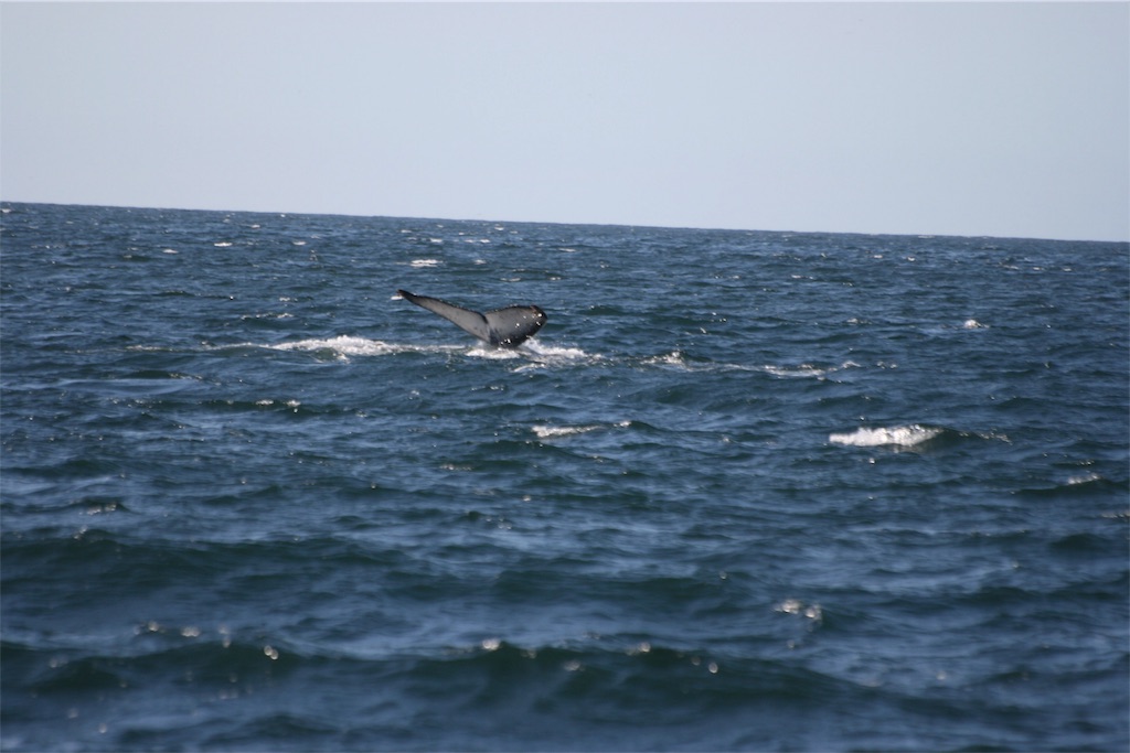 f:id:yura-mama:20171128090149j:image