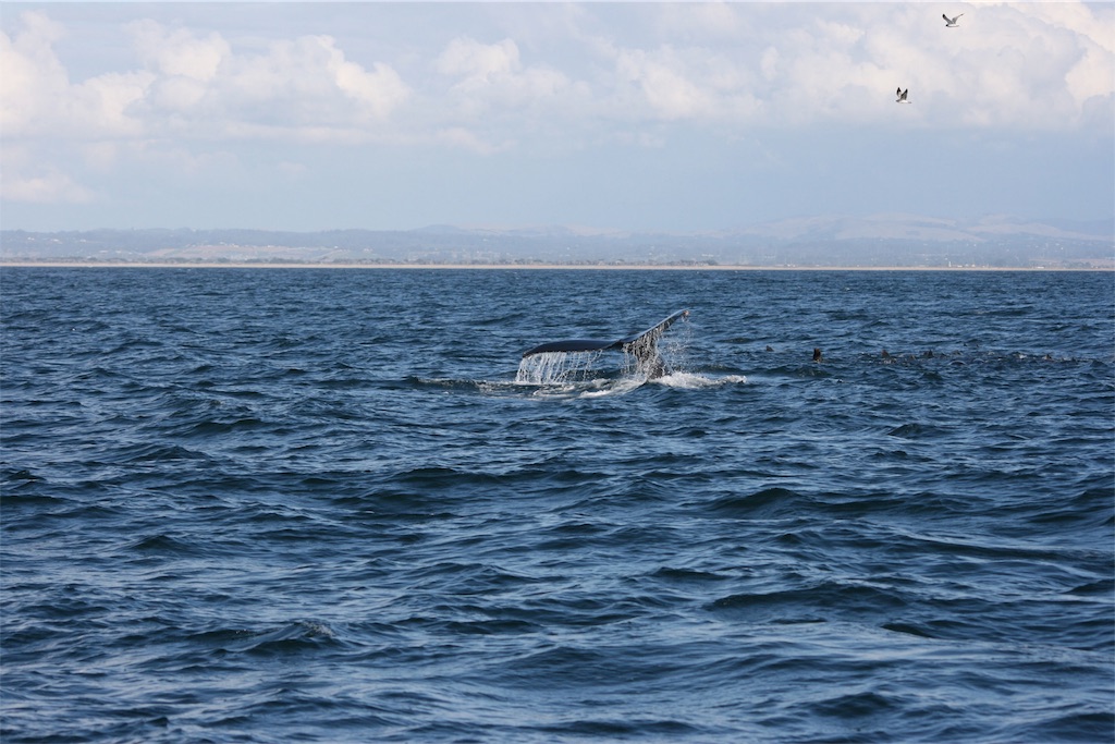 f:id:yura-mama:20171128090231j:image