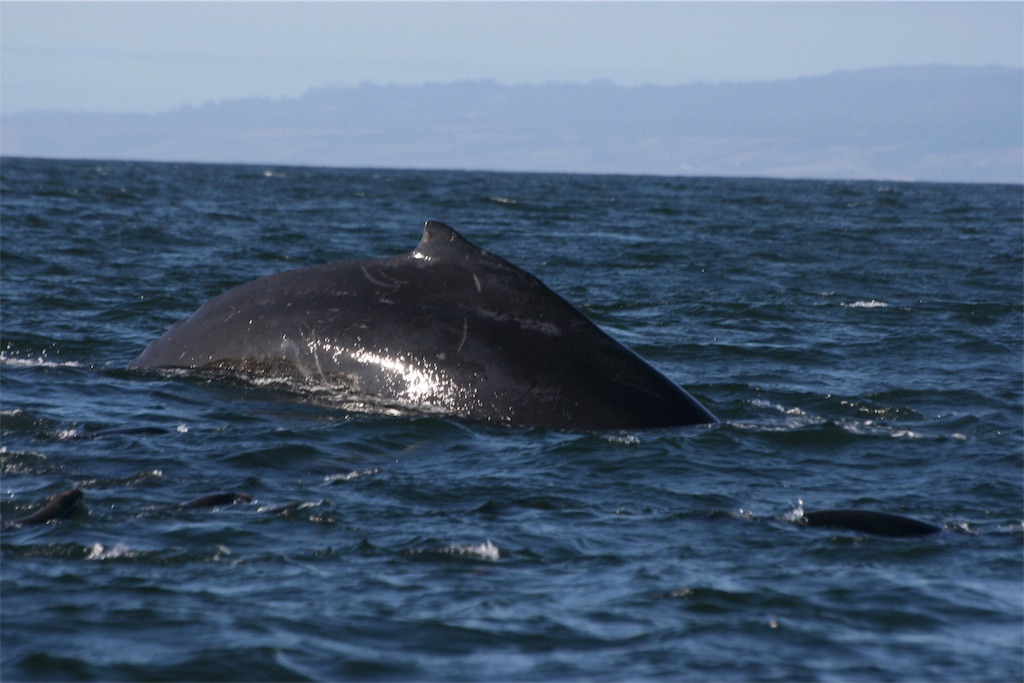 f:id:yura-mama:20171128090619j:image