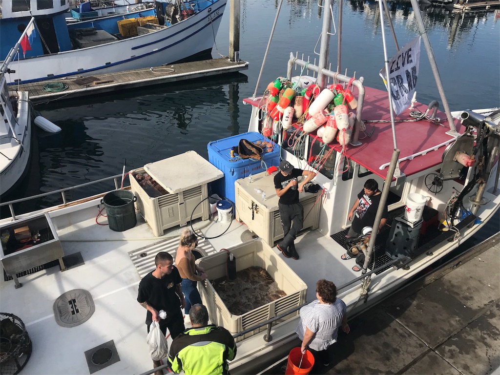 f:id:yura-mama:20180104070722j:image