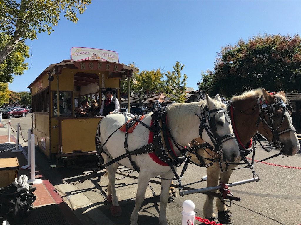 f:id:yura-mama:20191114113018j:image