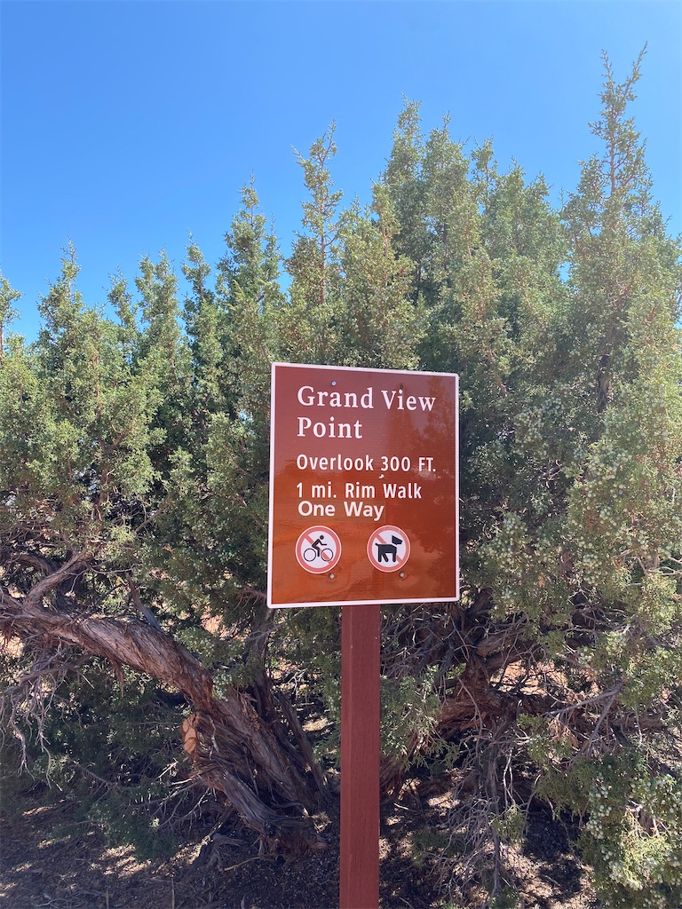 f:id:yura-mama:20200722053928j:plain