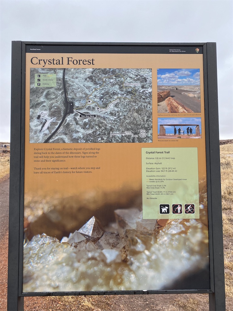 サンクスギビング旅行④〜化石の森国立公園 - ゆらのロサンゼルス