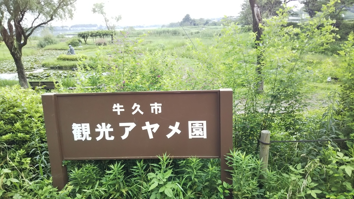 f:id:yurahime5:20190719222936j:plain f:id:yurahime5:20190719222936j:plain