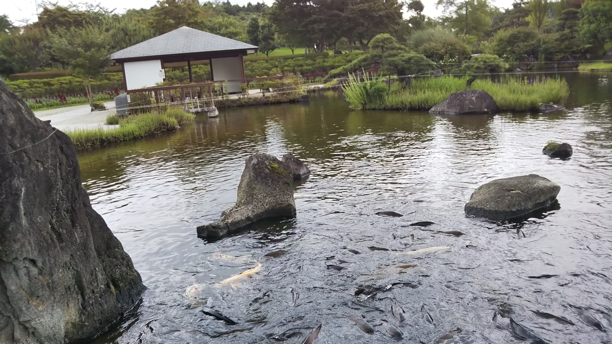 f:id:yurahime5:20190722145122j:plain f:id:yurahime5:20190722145122j:plain