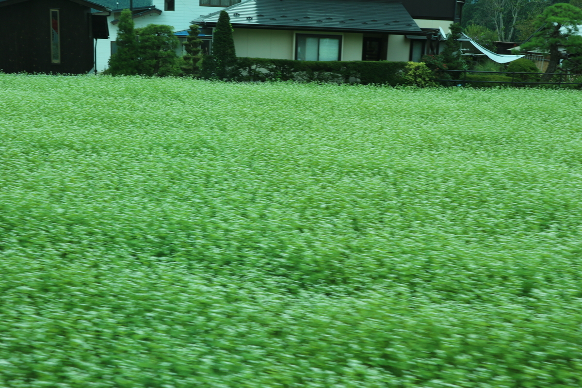 f:id:yurahime5:20190830231707j:plain f:id:yurahime5:20190830231707j:plain