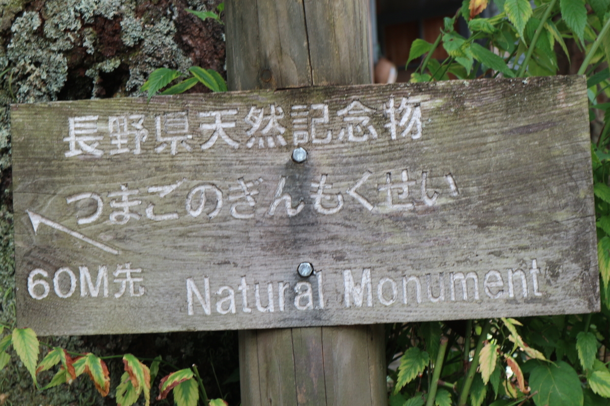 f:id:yurahime5:20191001141430j:plain f:id:yurahime5:20191001141430j:plain