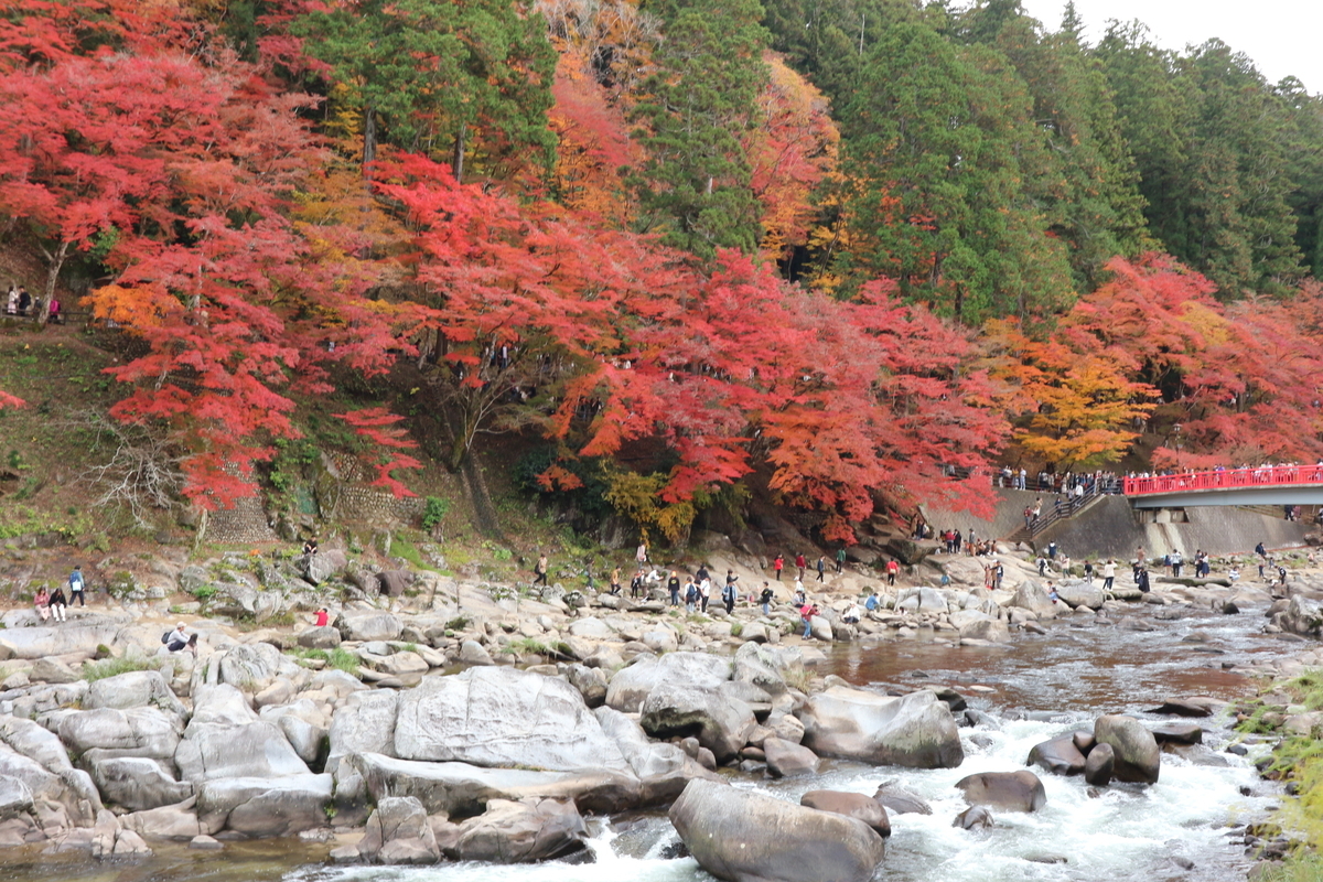 息 を の む 美 しさ