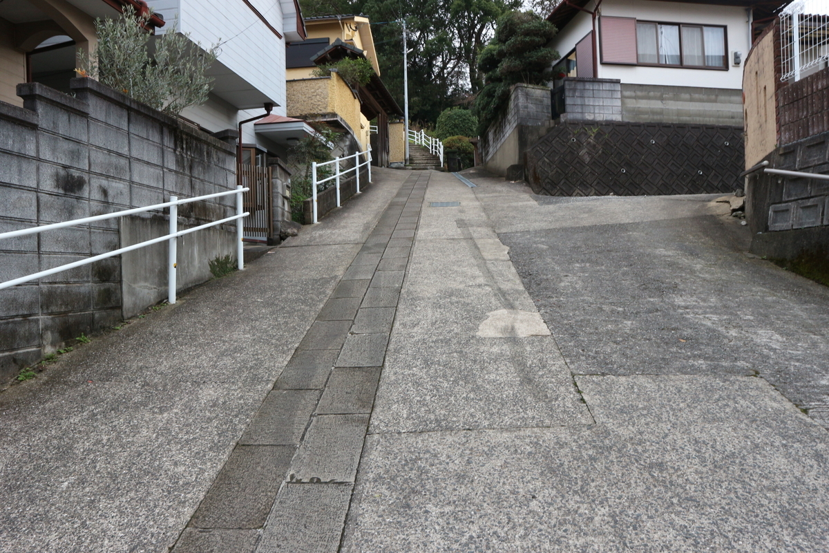 f:id:yurahime5:20200206095801j:plain f:id:yurahime5:20200206095801j:plain
