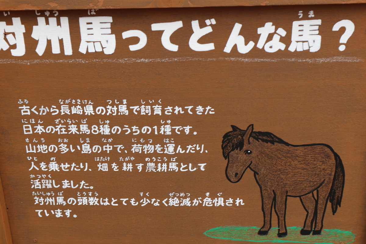 f:id:yurahime5:20200410214741j:plain f:id:yurahime5:20200410214741j:plain