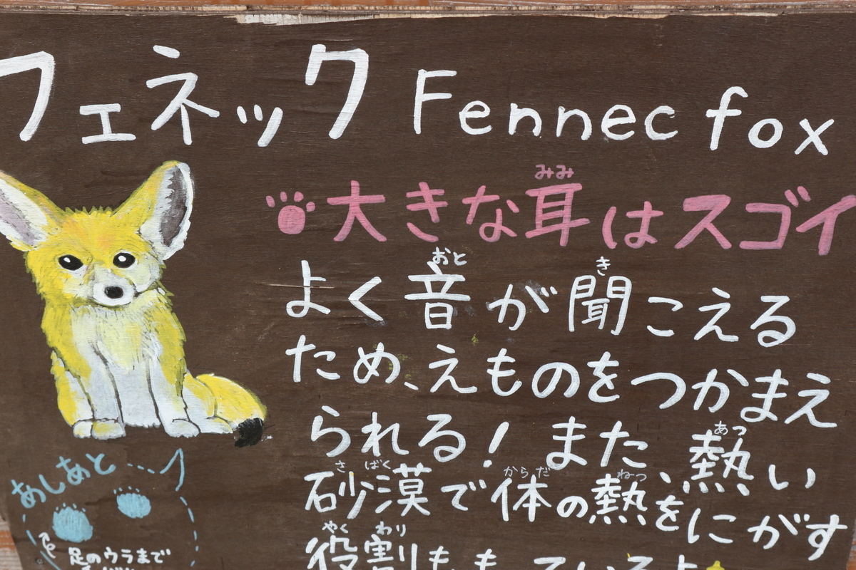 f:id:yurahime5:20200410224850j:plain f:id:yurahime5:20200410224850j:plain