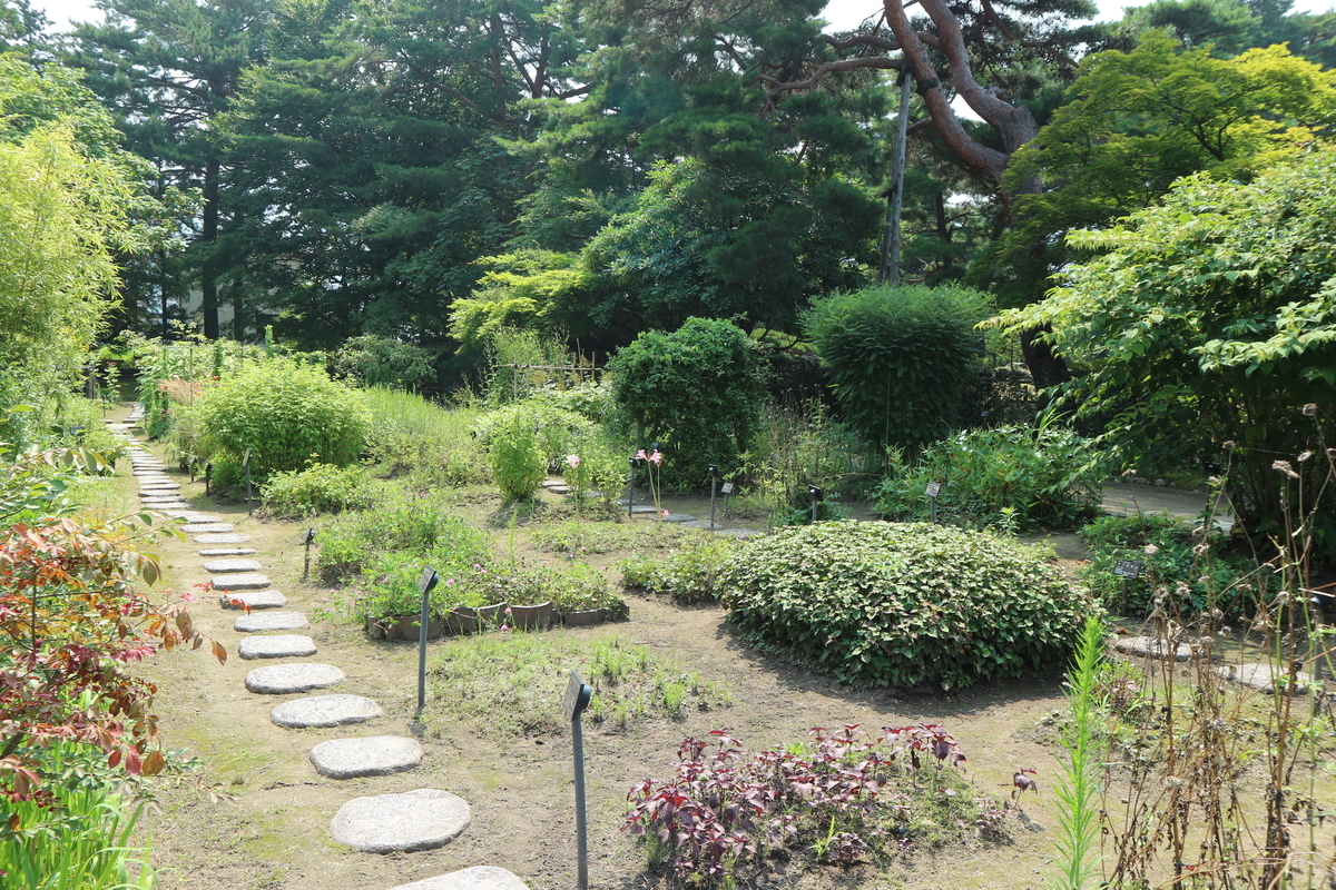 f:id:yurahime5:20200823163158j:plain f:id:yurahime5:20200823163158j:plain
