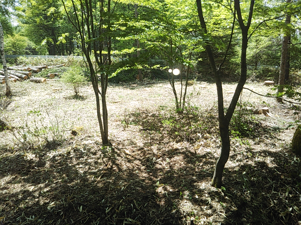 f:id:yurakuaruku:20190629200234j:plain