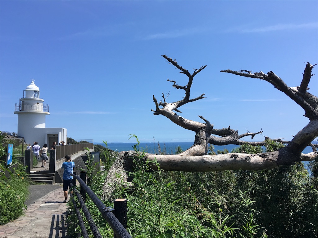 f:id:yuramaki:20190815195028j:image f:id:yuramaki:20190815195028j:image