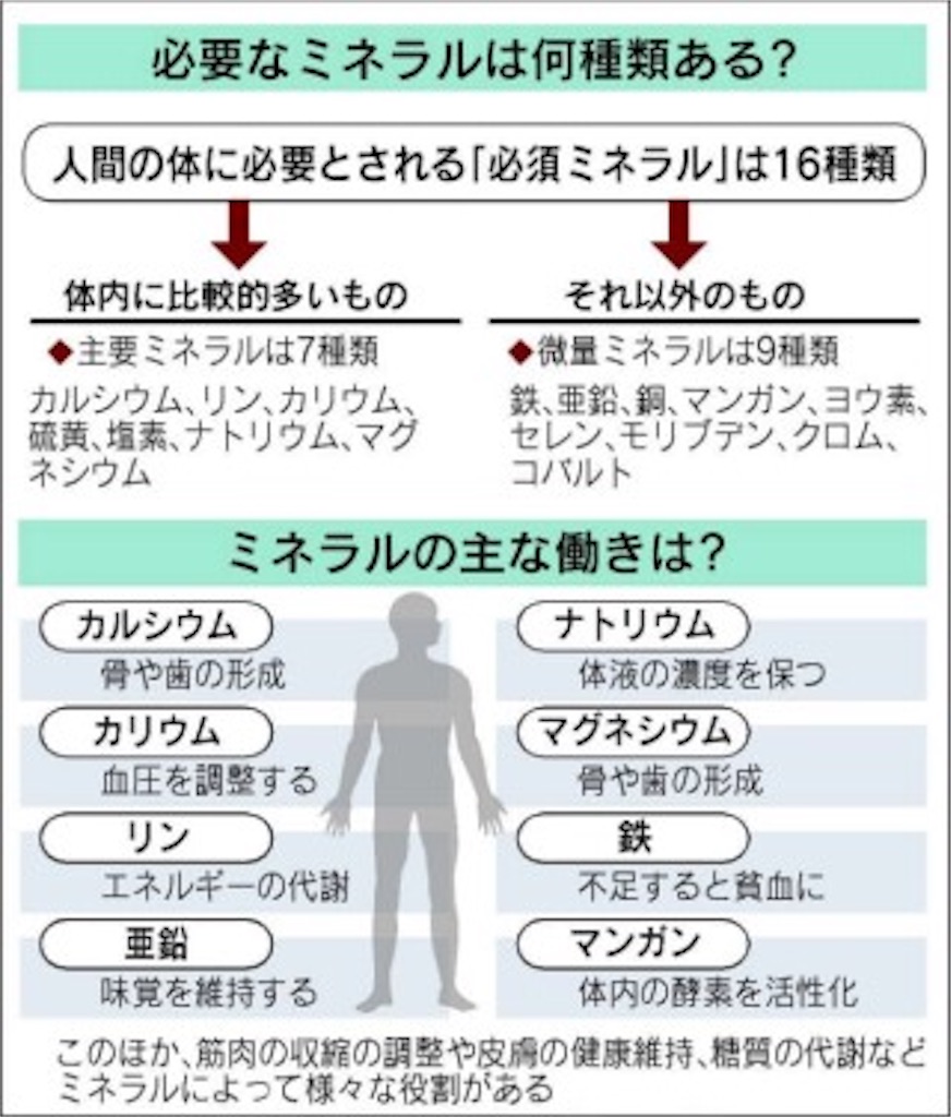 f:id:yurarin0525:20190323005109j:image f:id:yurarin0525:20190323005109j:image