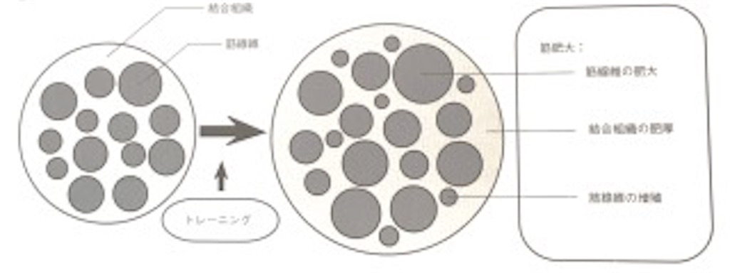 f:id:yurarin0525:20190325134528j:image f:id:yurarin0525:20190325134528j:image