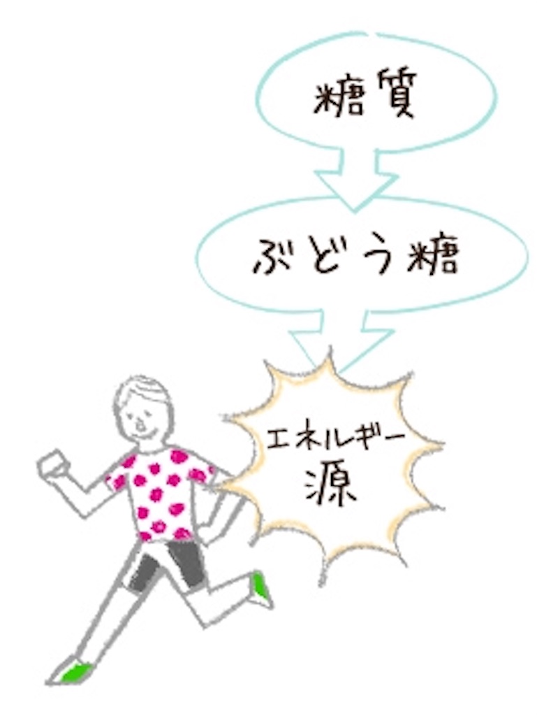 f:id:yurarin0525:20190327153227j:image f:id:yurarin0525:20190327153227j:image