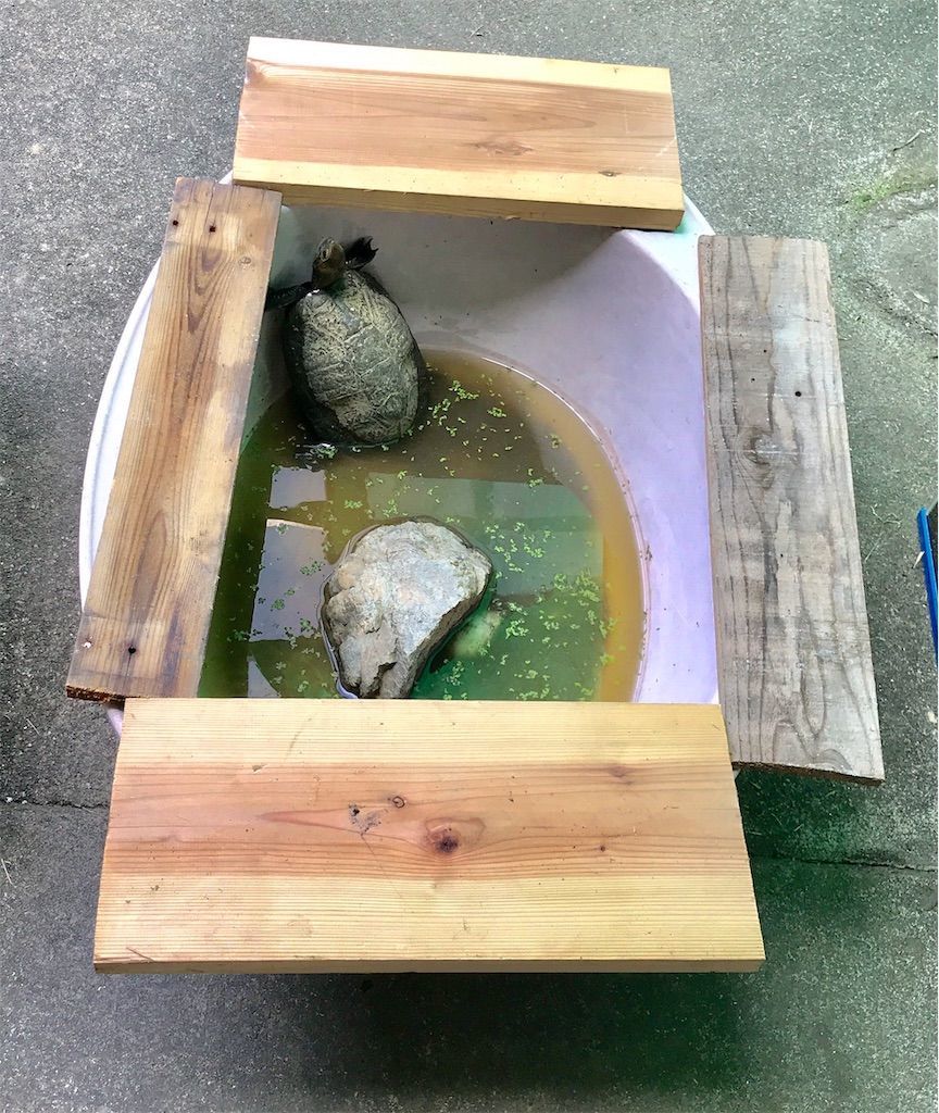 f:id:yuri-ko:20190805115238j:plain:w300