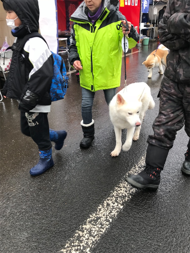 f:id:yuri-mami:20191216213543j:image f:id:yuri-mami:20191216213543j:image