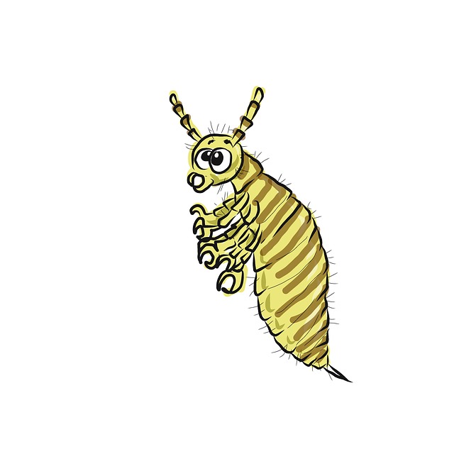 f:id:yuri-nkmr:20191004225841j:plain