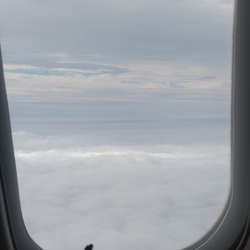 f:id:yuri-private:20191005212436j:plain