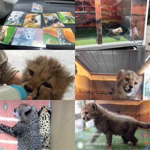 f:id:yuri-yamaguchi-48625160:20200525170025j:image f:id:yuri-yamaguchi-48625160:20200525170025j:image