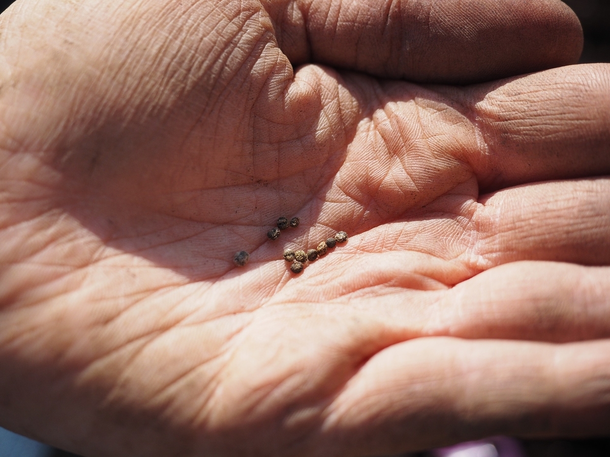 f:id:yuri1066:20200610214721j:plain