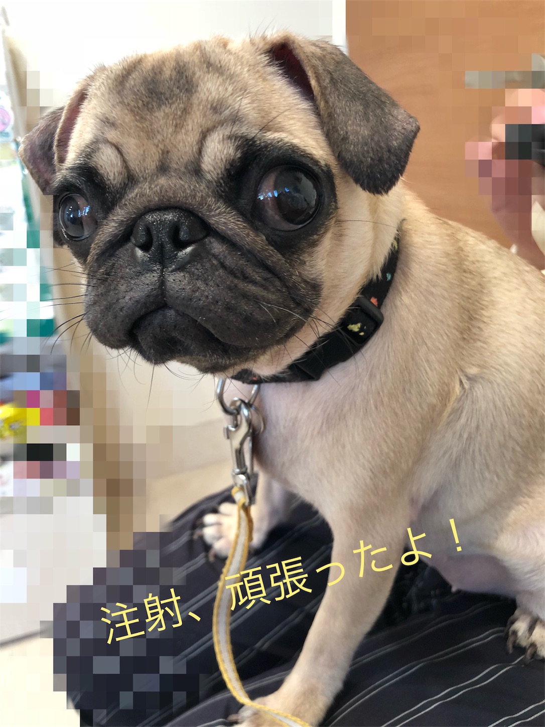 f:id:yuri4-1:20181008201044j:image f:id:yuri4-1:20181008201044j:image