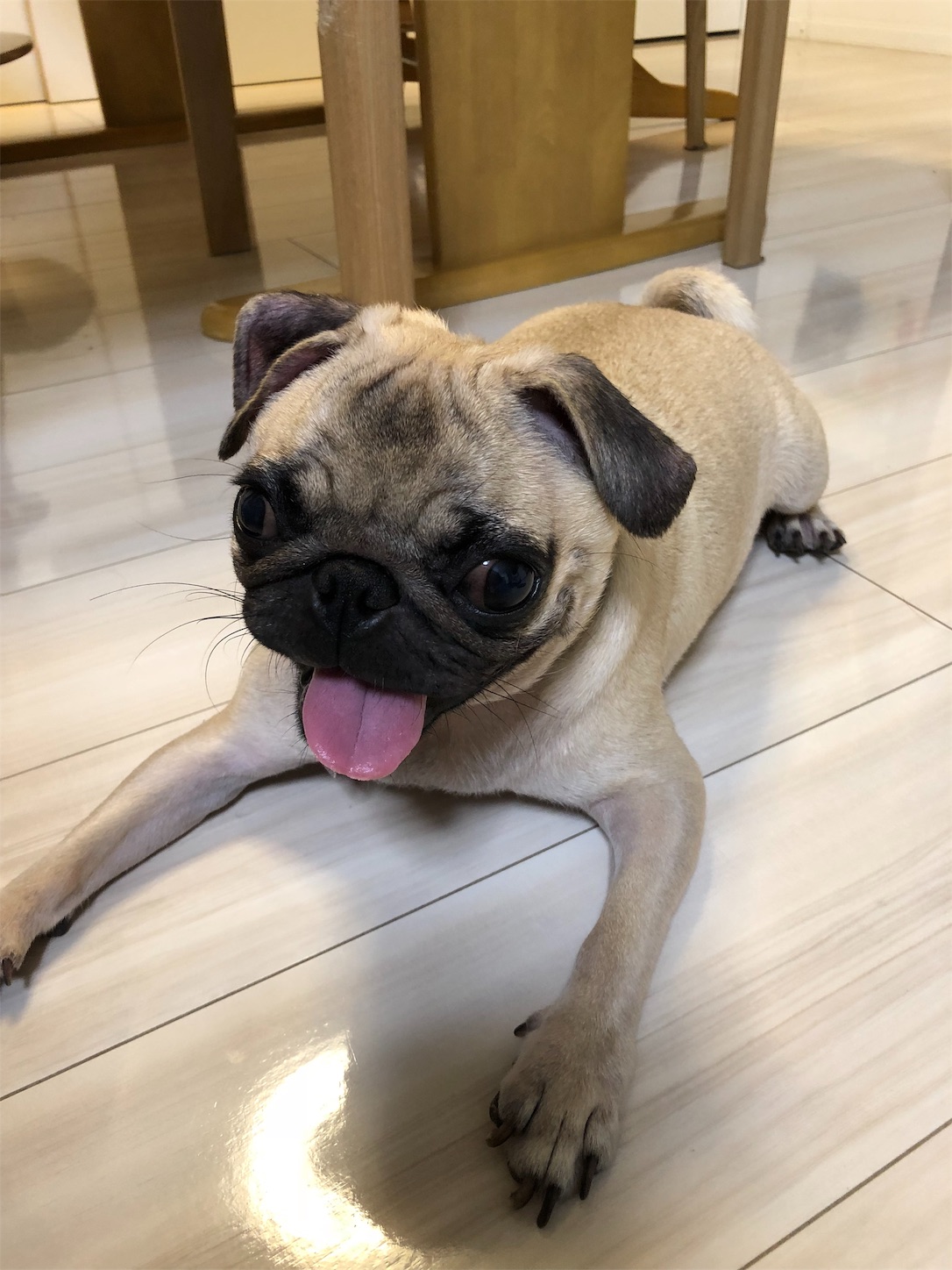 f:id:yuri4-1:20181019201042j:image f:id:yuri4-1:20181019201042j:image
