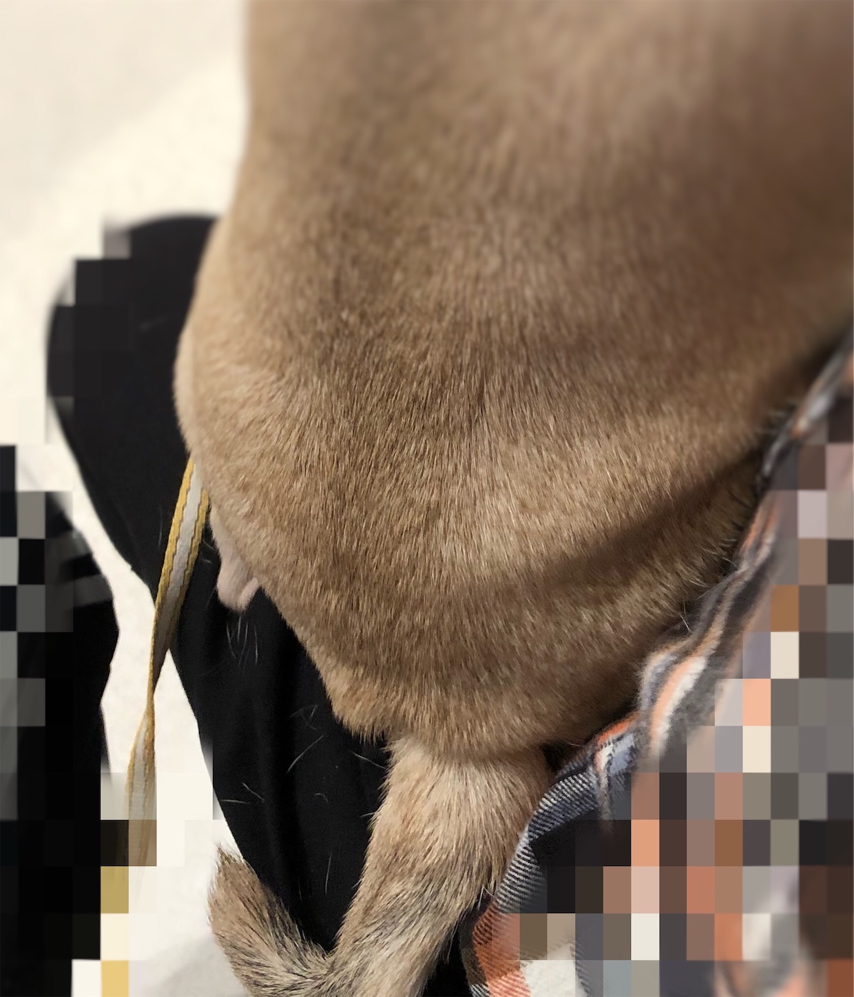 f:id:yuri4-1:20181020180159j:image f:id:yuri4-1:20181020180159j:image