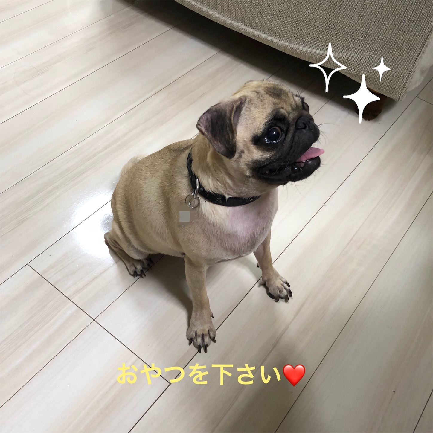 f:id:yuri4-1:20181121172709j:image f:id:yuri4-1:20181121172709j:image