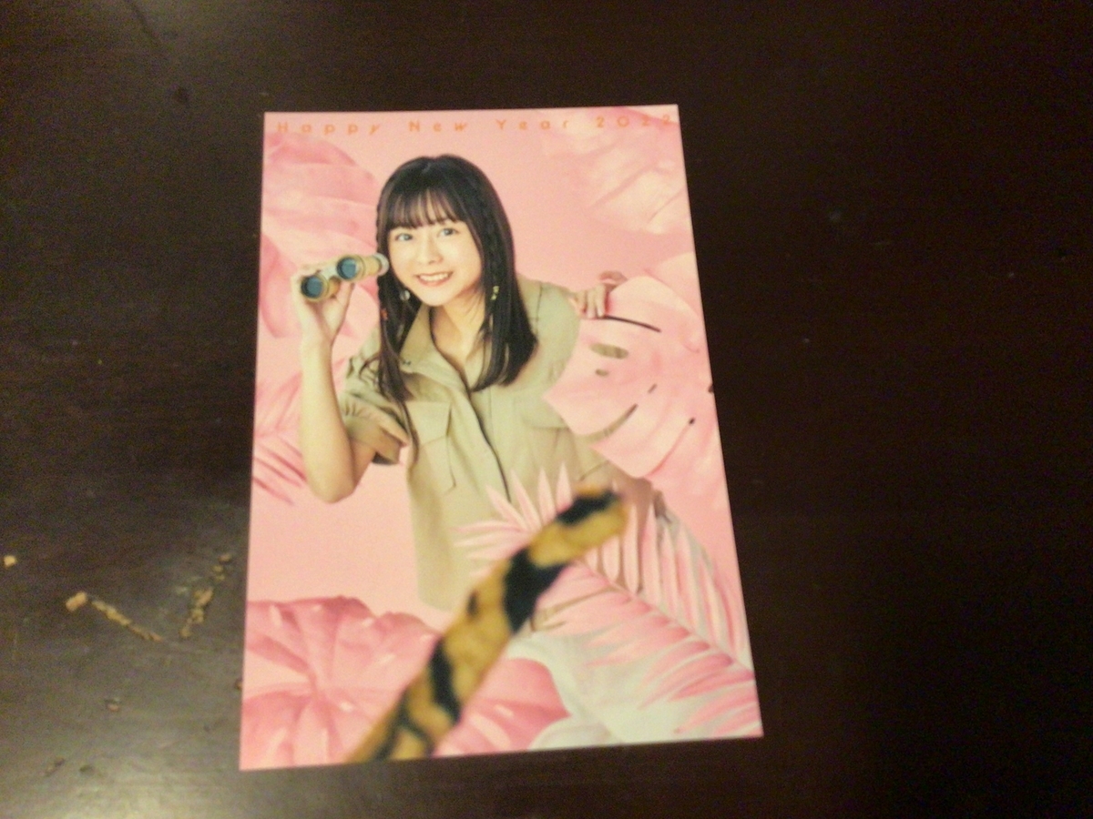 f:id:yuri_chayamachi:20220109213356j:plain
