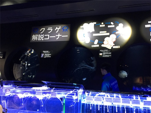 f:id:yurihonjo-kosodate:20190130134605j:image