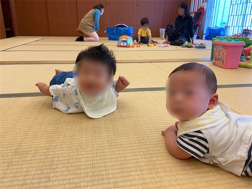 f:id:yurihonjo-kosodate:20221108001421j:image f:id:yurihonjo-kosodate:20221108001421j:image