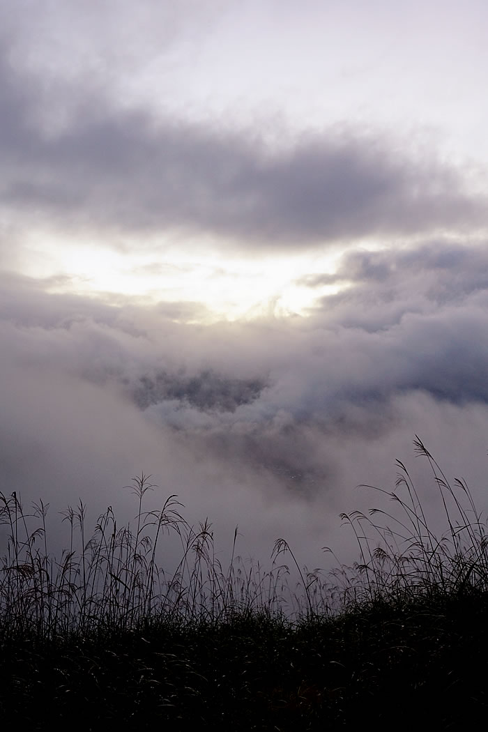 f:id:yuriika7:20201030163930j:plain