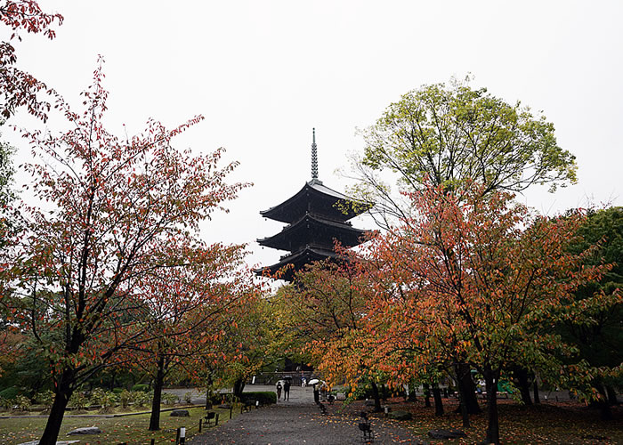 f:id:yuriika7:20201111200544j:plain