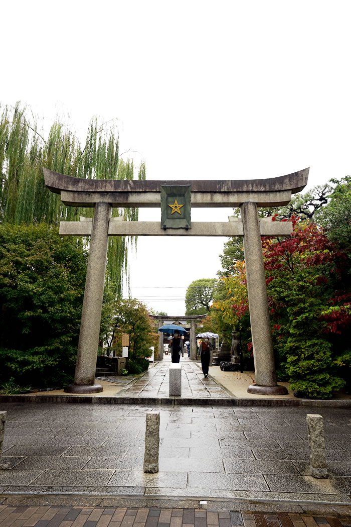 f:id:yuriika7:20201112173056j:plain f:id:yuriika7:20201112173056j:plain