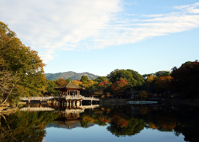 f:id:yuriika7:20210202182842j:plain