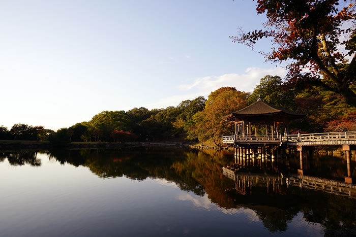 f:id:yuriika7:20210202183021j:plain