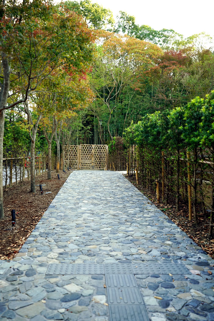 f:id:yuriika7:20210202183051j:plain