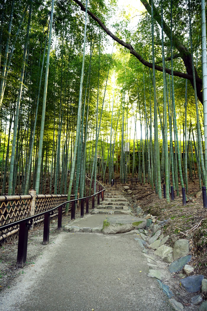 f:id:yuriika7:20210202183104j:plain