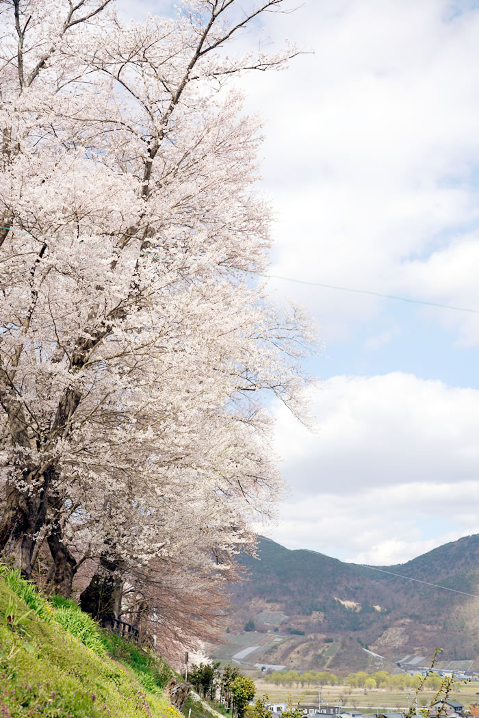 f:id:yuriika7:20210414181414j:plain