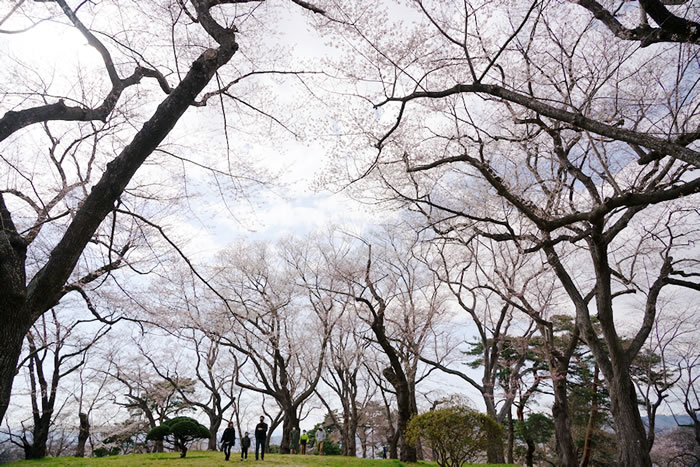 f:id:yuriika7:20210414181522j:plain