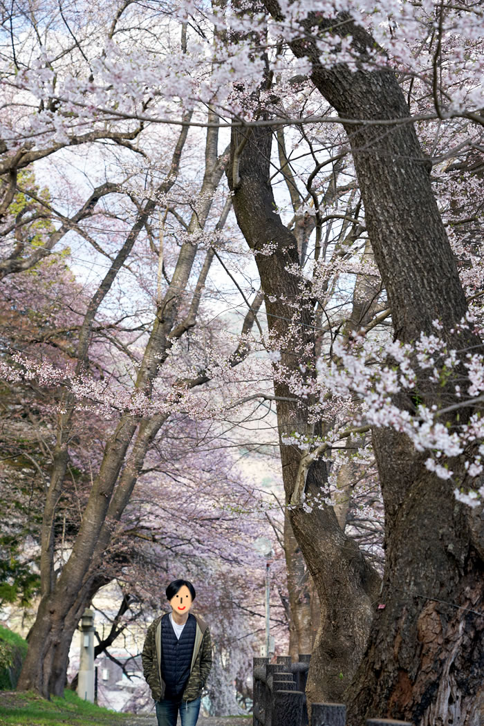 f:id:yuriika7:20210414181623j:plain