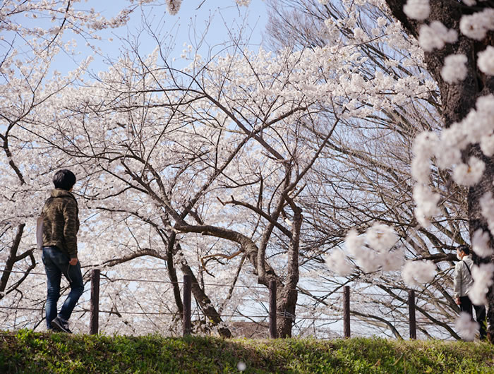 f:id:yuriika7:20210510181921j:plain