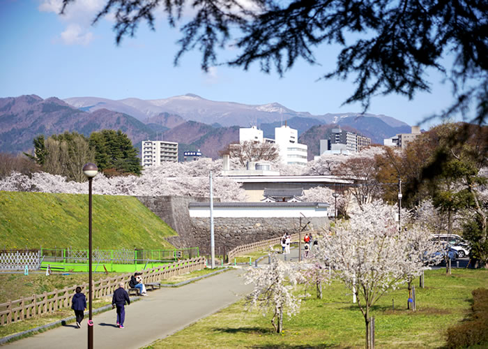 f:id:yuriika7:20210510181953j:plain